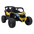 Can Am Maverick