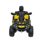 CAN AM OUTLANDER