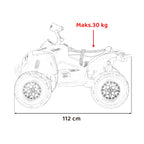CAN AM MAVERICK QUAD