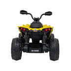 CAN AM MAVERICK QUAD